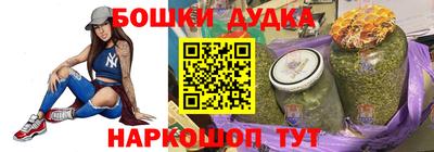крисы Нальчик