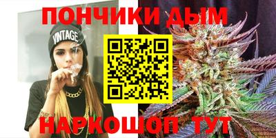 крисы Нальчик