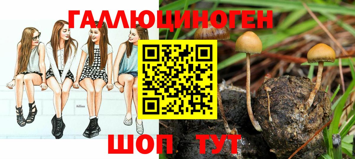 Якутск  Галлюциногенные грибы Magic Shrooms  Галлюциногенные грибы Magic Shrooms  Вход с VPN 