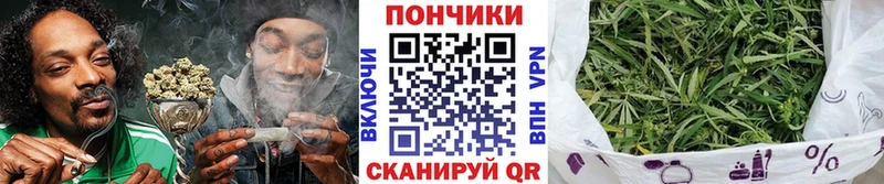 Бошки Шишки семена  Якутск 